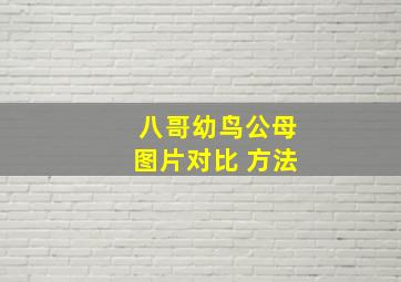 八哥幼鸟公母图片对比 方法